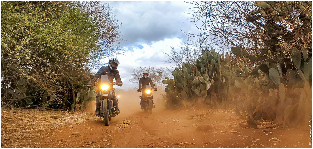 2022 07 Tanzanie 256 (1)